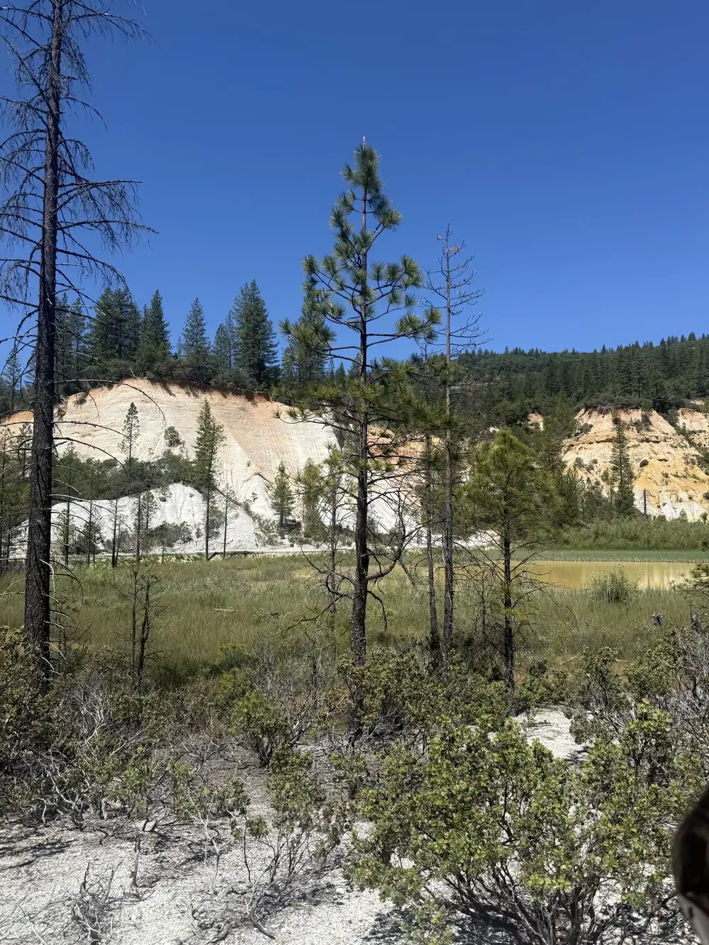 Malakoff Diggings